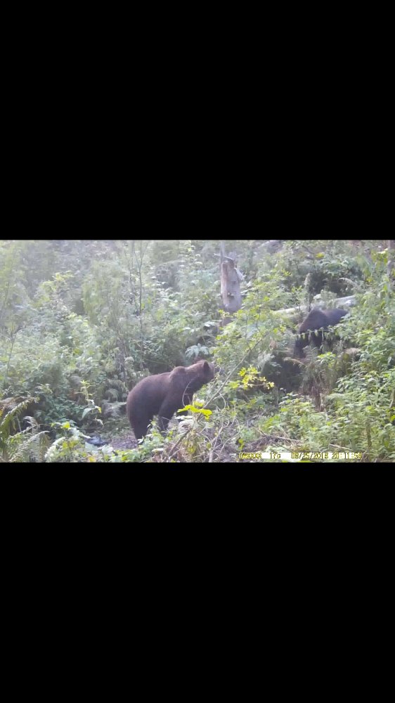 Screenshot_20191104-213059_Video Player.jpg