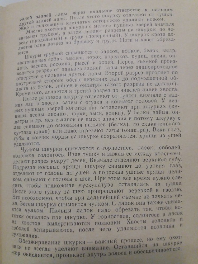 20191121_000308.jpg