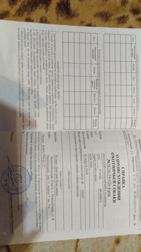 IMG-20191213-WA0059.jpg