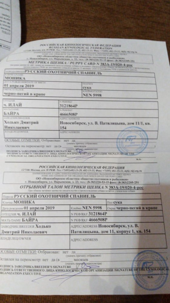 IMG-20191213-WA0060.jpg
