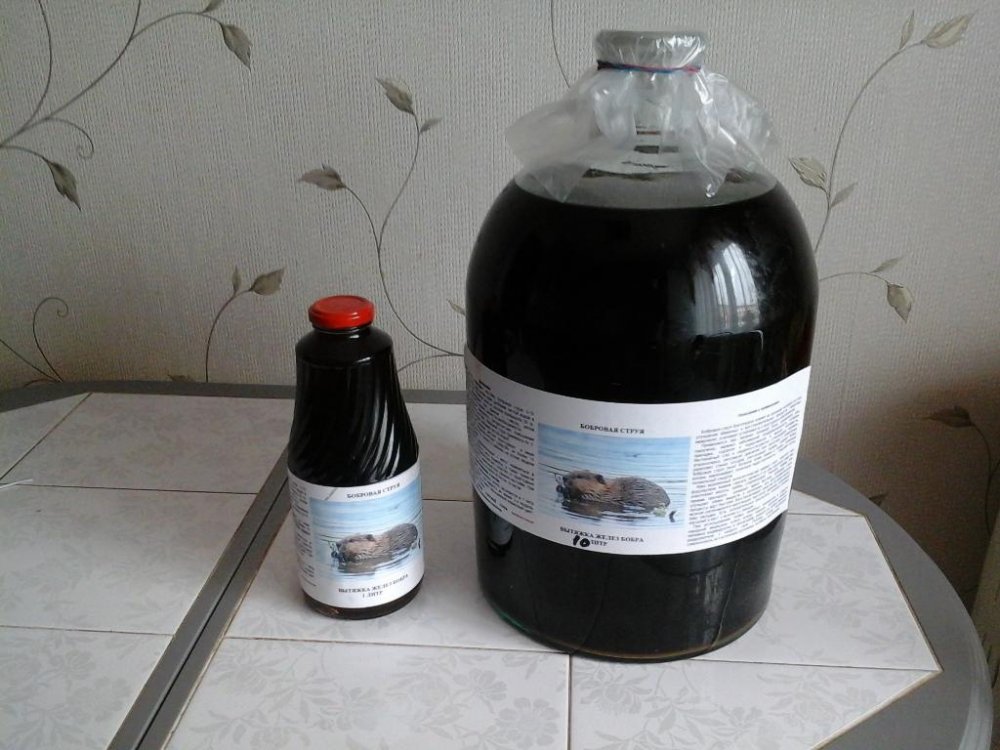 20140923_143459.jpg