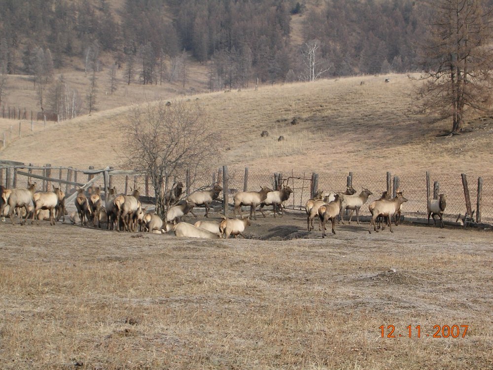 фотография 031.jpg