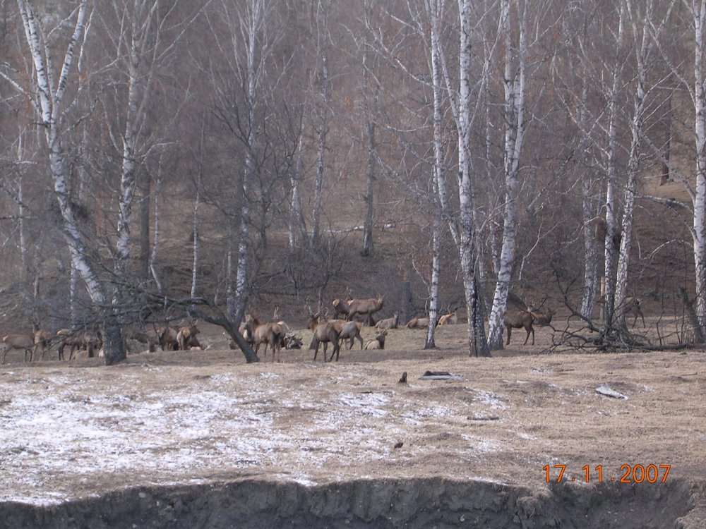 фотография 059.jpg