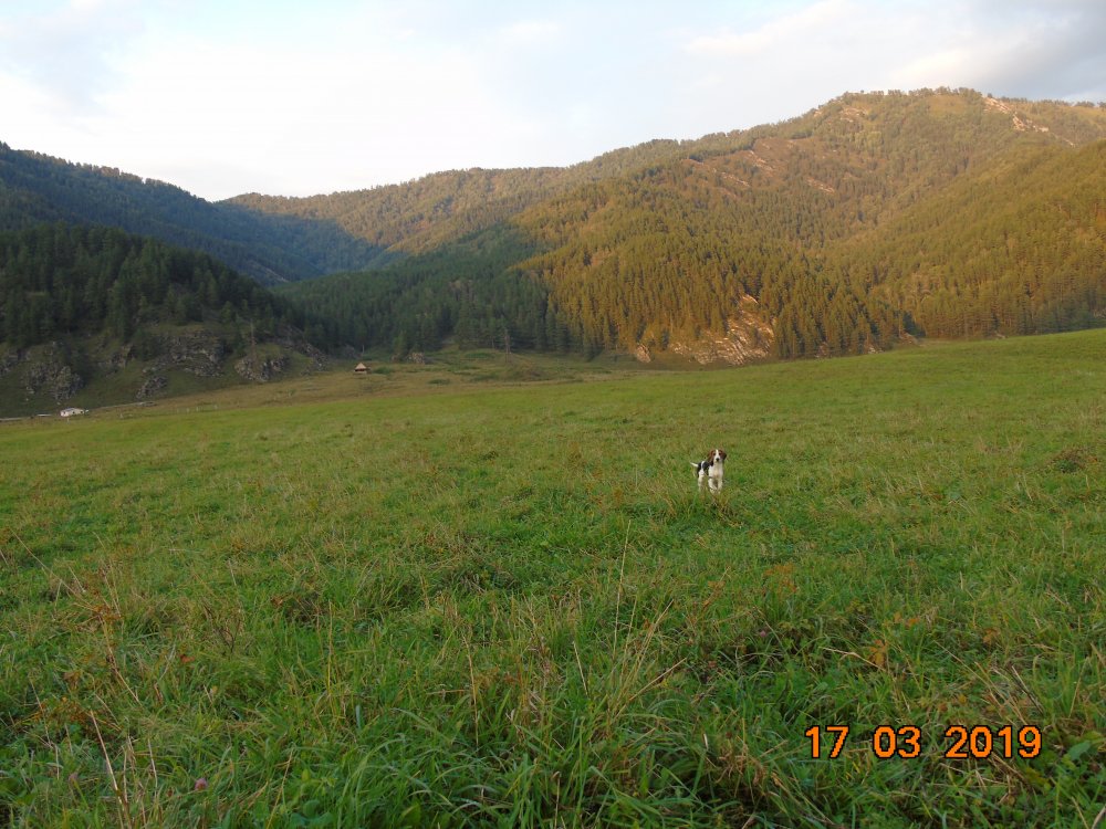 DSC00160.JPG