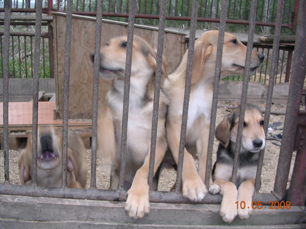DSCN1035.JPG