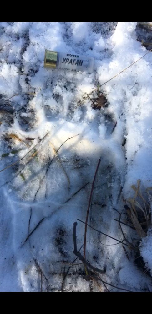 Screenshot_20200124-133200_Video Player.jpg