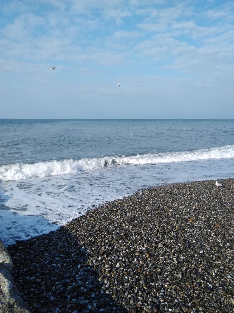 IMG_20200127_101728.jpg
