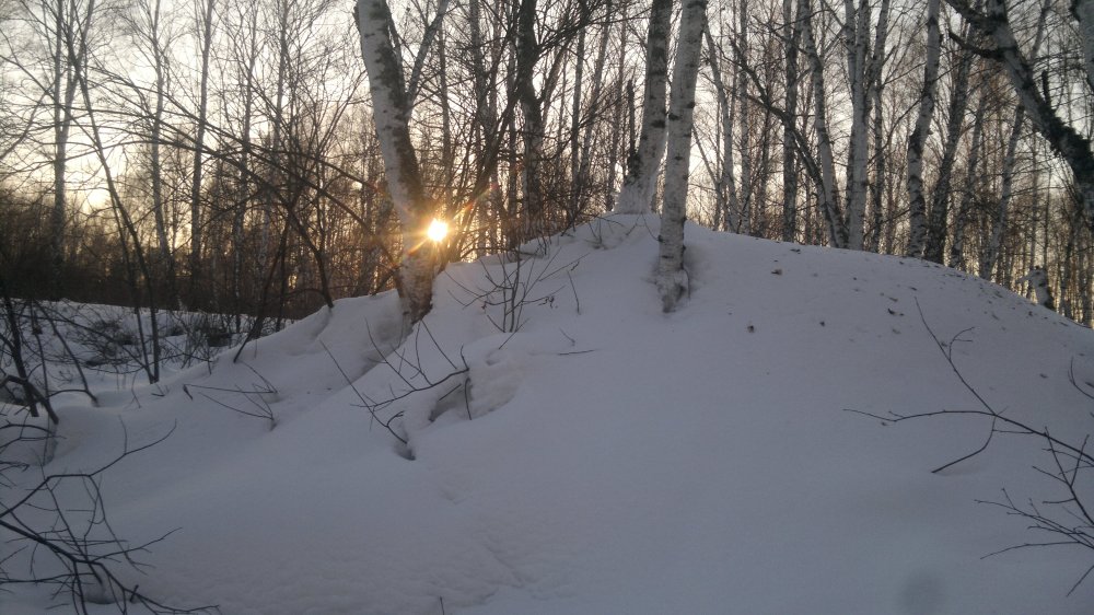 2020-02-12-2269.jpg