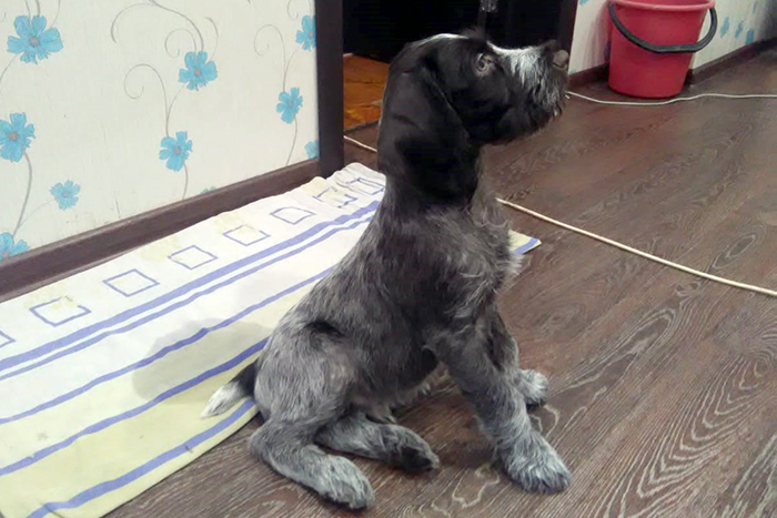 деймон 29-WA0002.jpg