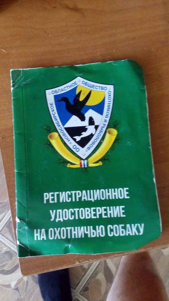 P_20200313_114508.jpg