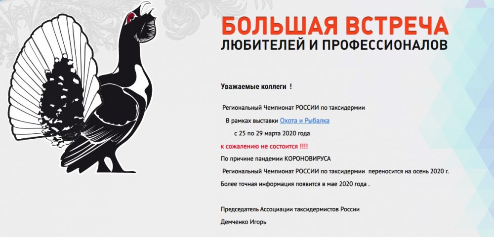 Новый точечный рисунок (3).jpg