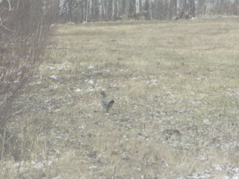 IMG_3205.JPG