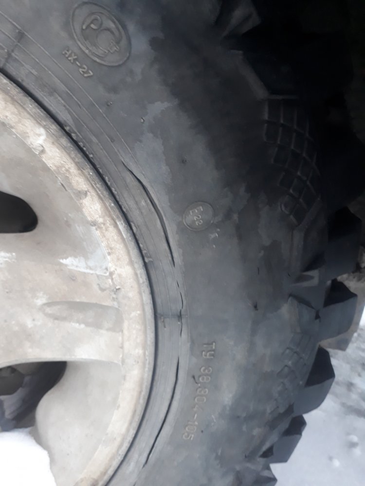 20190302_183146.jpg
