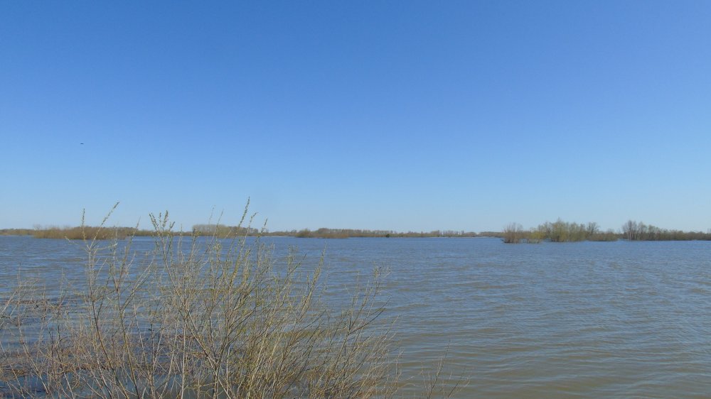 DSC02769.JPG