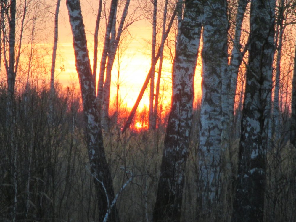 IMG_3742.JPG