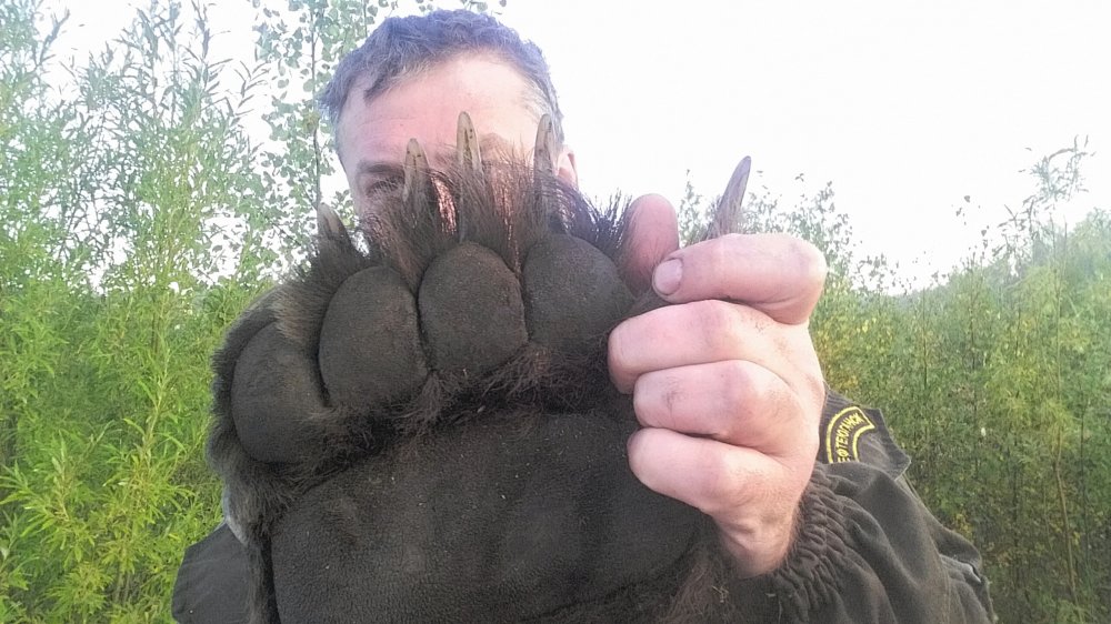 2018-08-29 09.48.37.jpg