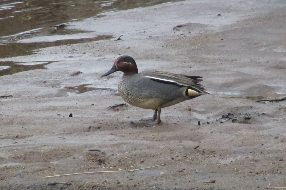 Утёска 14 мая 20г. 045.jpg