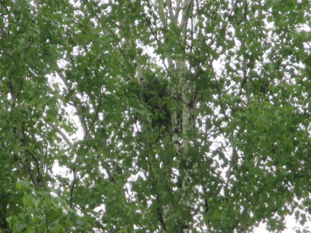 IMG_3884.JPG
