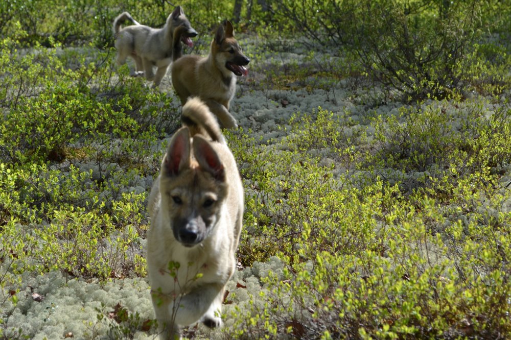 На прогулке1.jpg