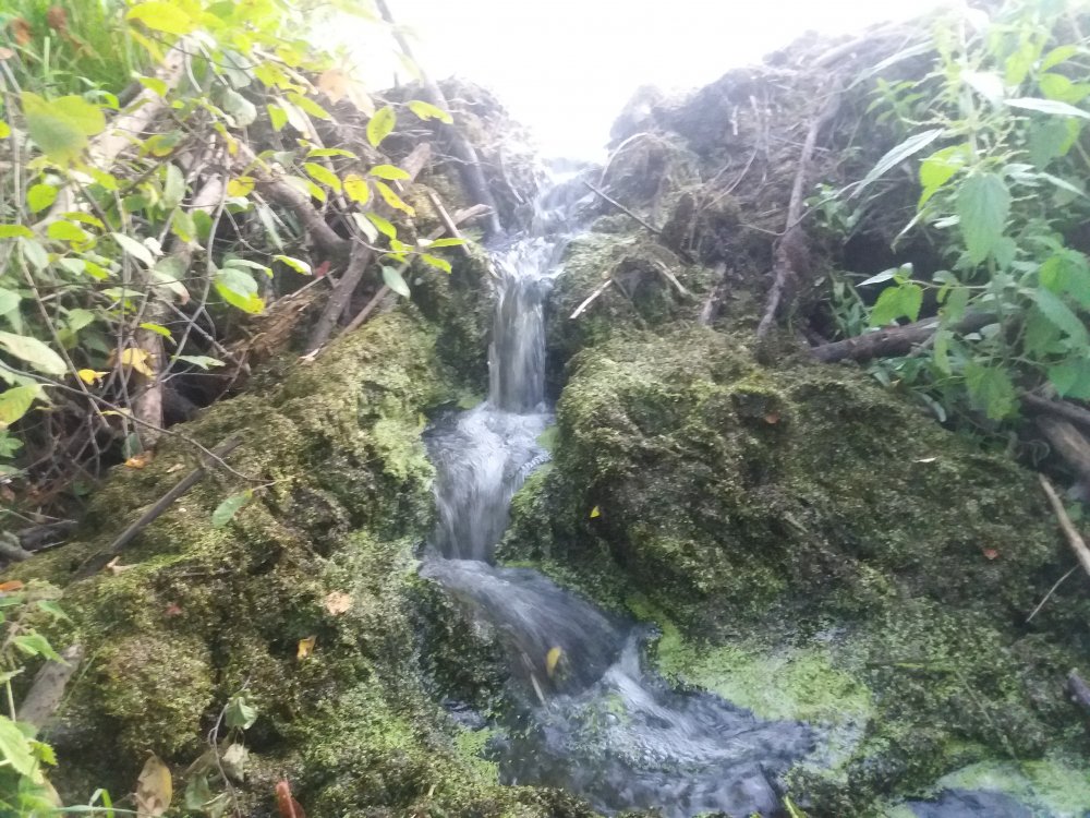 20180803_211646.jpg