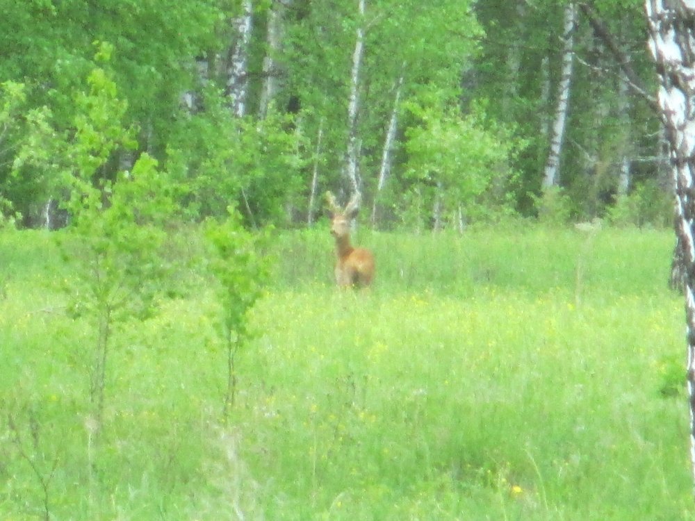 IMG_3299.JPG