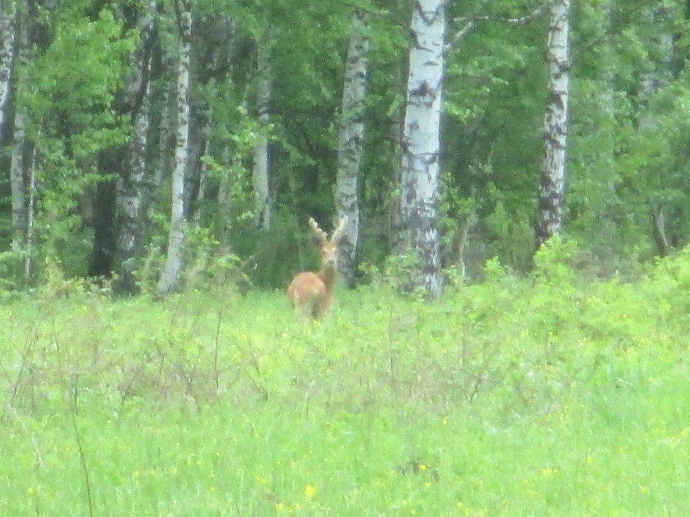 IMG_3295.JPG