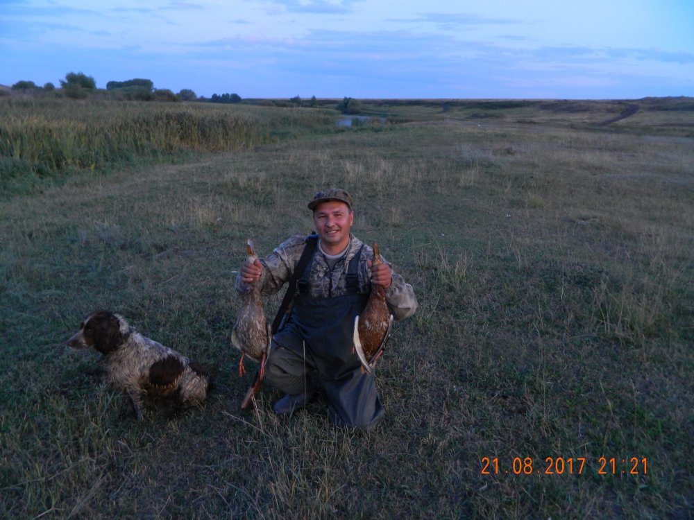 2017-08-7750486db1e3e416d8801c61e9b528f8__rsu-1000-800.jpg
