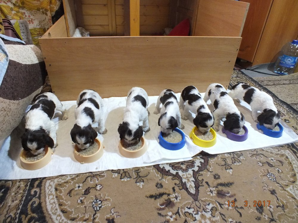 DSCF8574.JPG