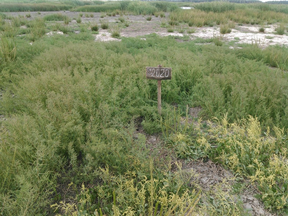 KIMG0982.jpg