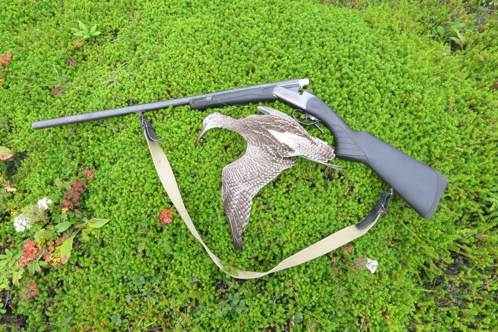 Дром 18 августа 20г. 039.jpg