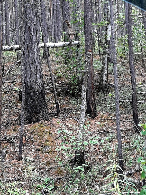 20200815_130519.jpg