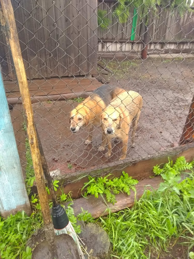 Вязка Зажиги и Фарта.jpg