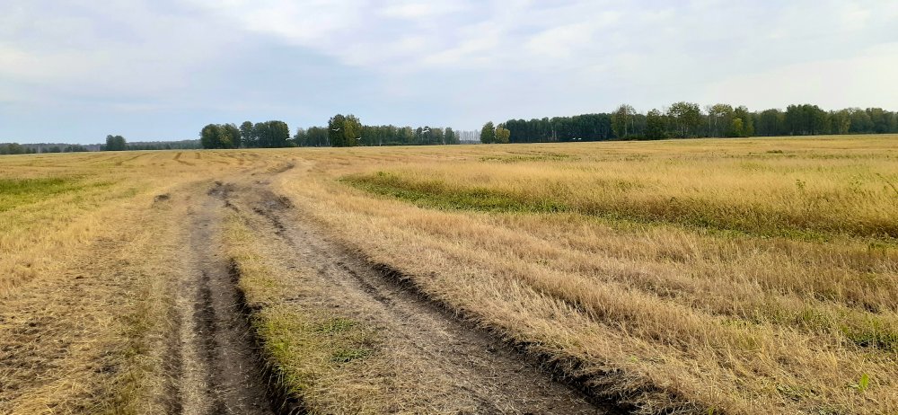 20200902_160025.jpg