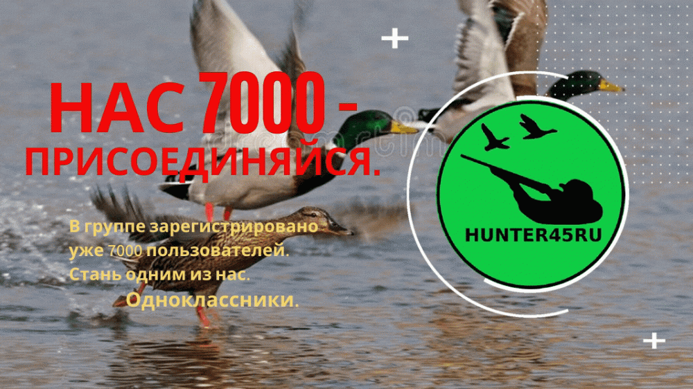 Orange and White Funny Dating Animated Presentation.gif