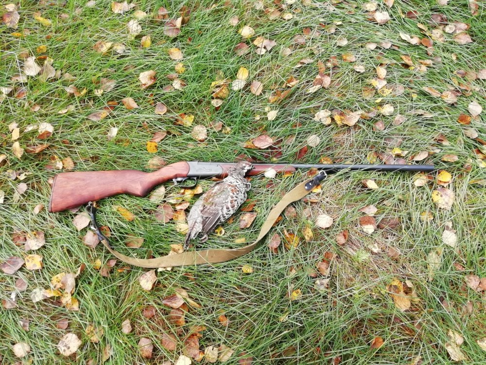 IMG_20200920_100405 (1).jpg