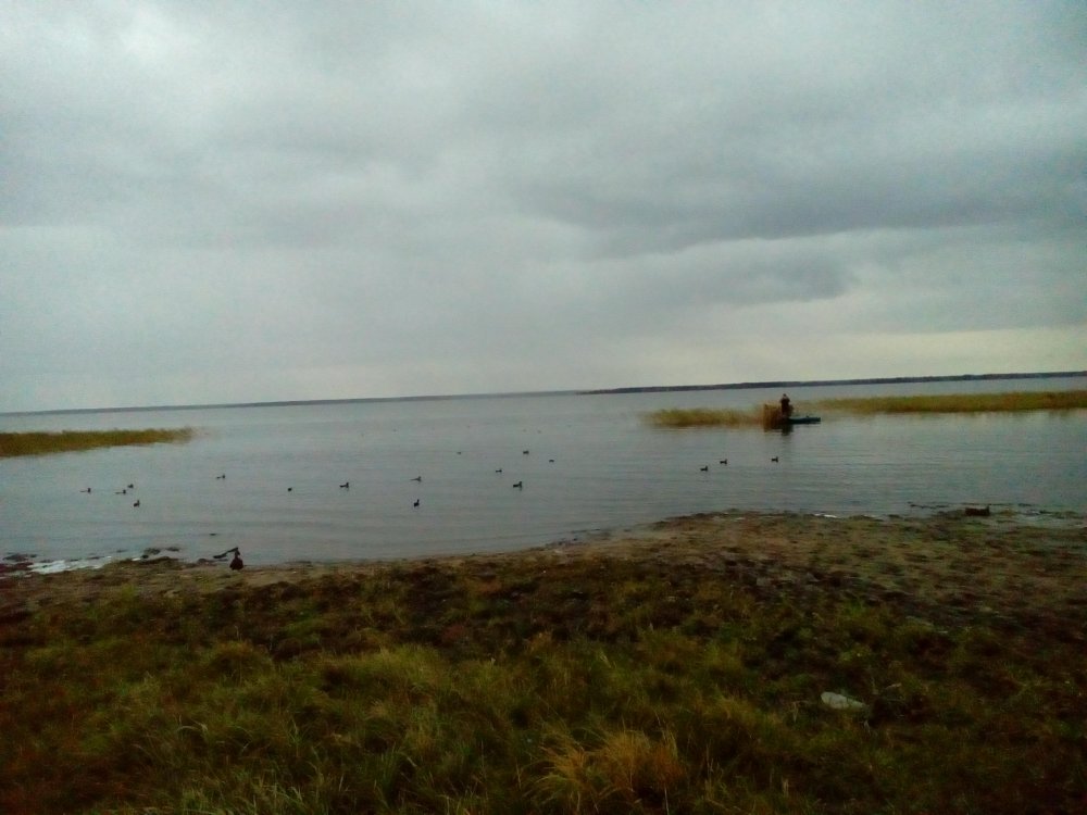 P_20200919_074756.jpg