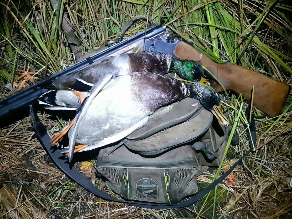 20200925_200337.jpg