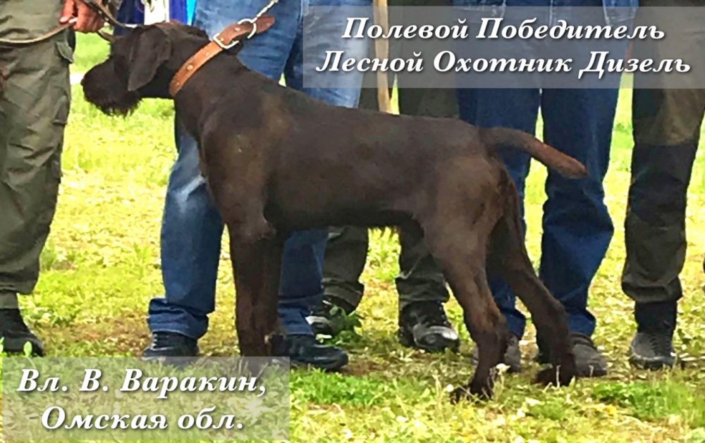 PHOTO-2020-09-16-21-20-31 (2).jpg