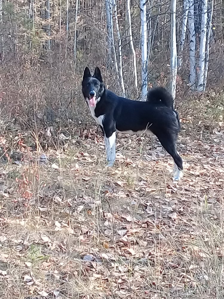 20200920_144544.jpg