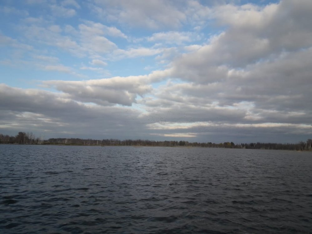 IMG-20200929-WA0002.jpg