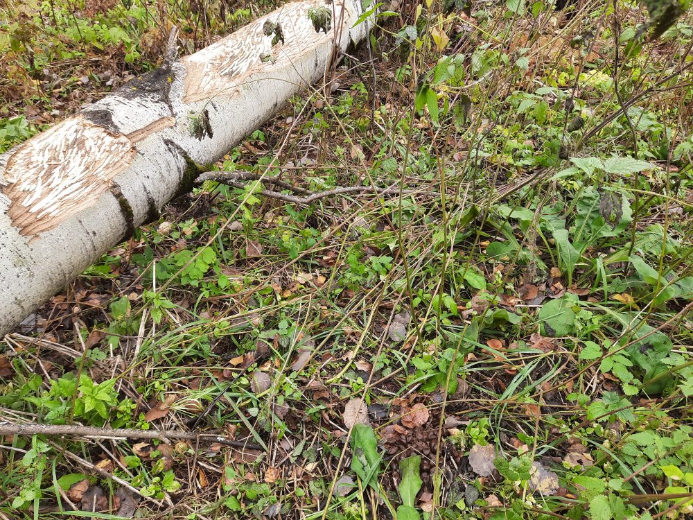 20201002_110157.jpg