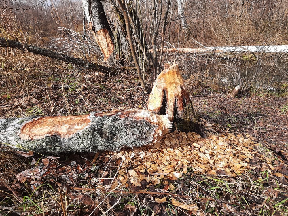 20201014_134812.jpg