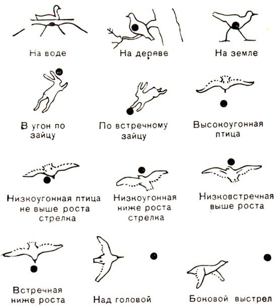 Схема стрельбы по гусю