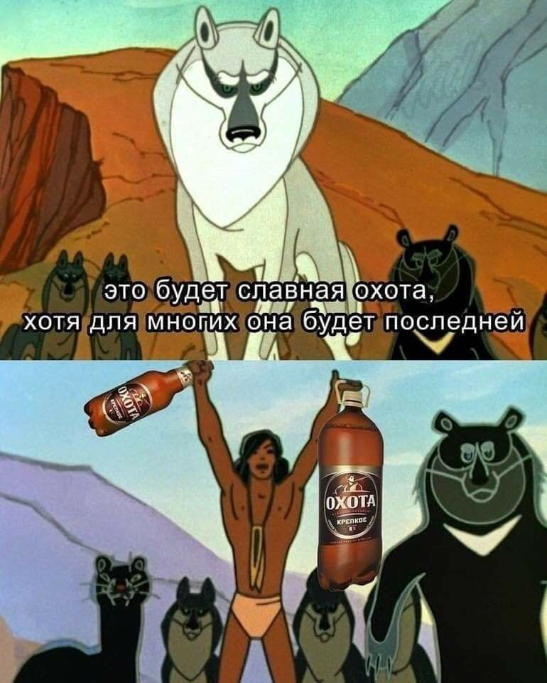 R686mWKsDZo.jpg
