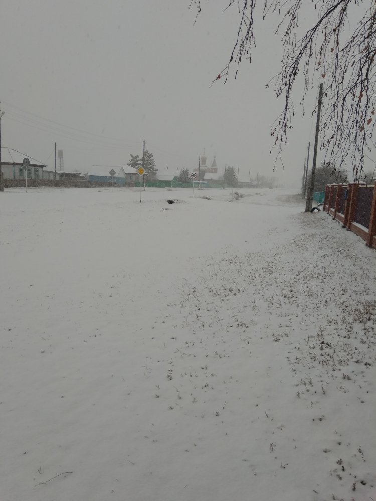 IMG_20201024_092948.jpg