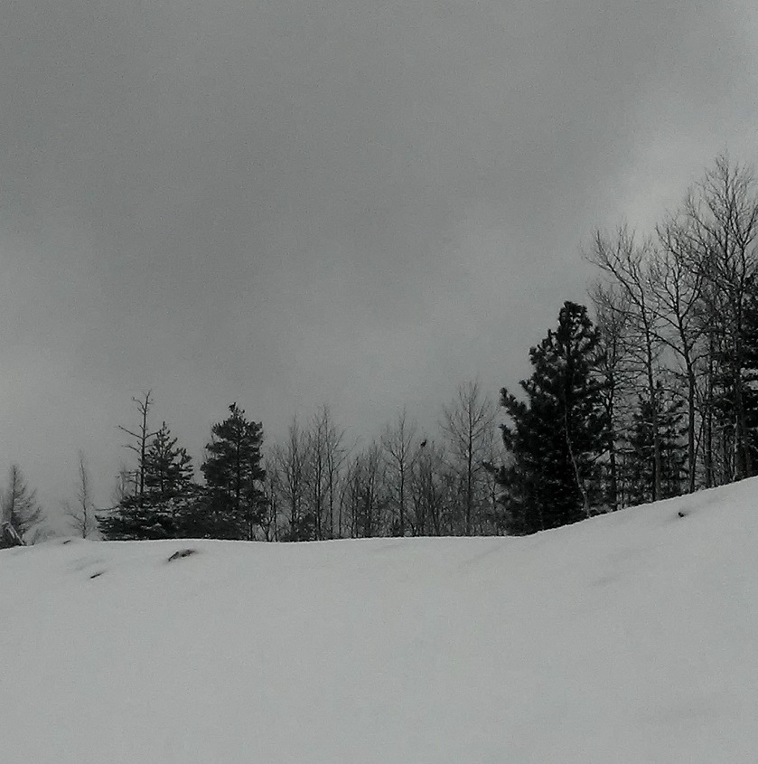 20201024_102251.jpg