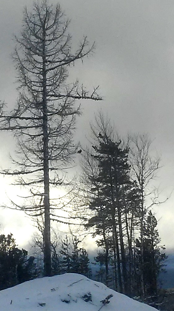 20201024_102818.jpg