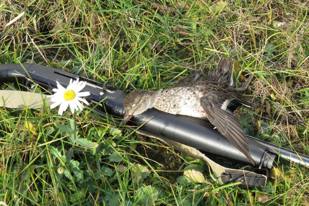 30 октября 20г. 003.JPG