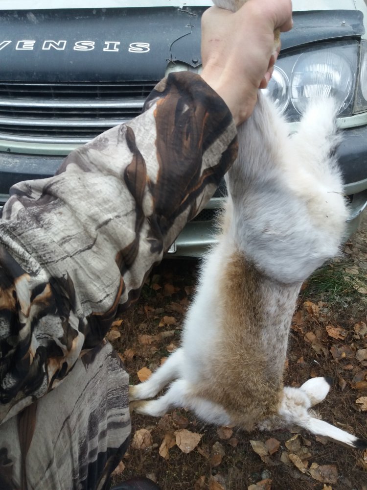 20201104_102557.jpg
