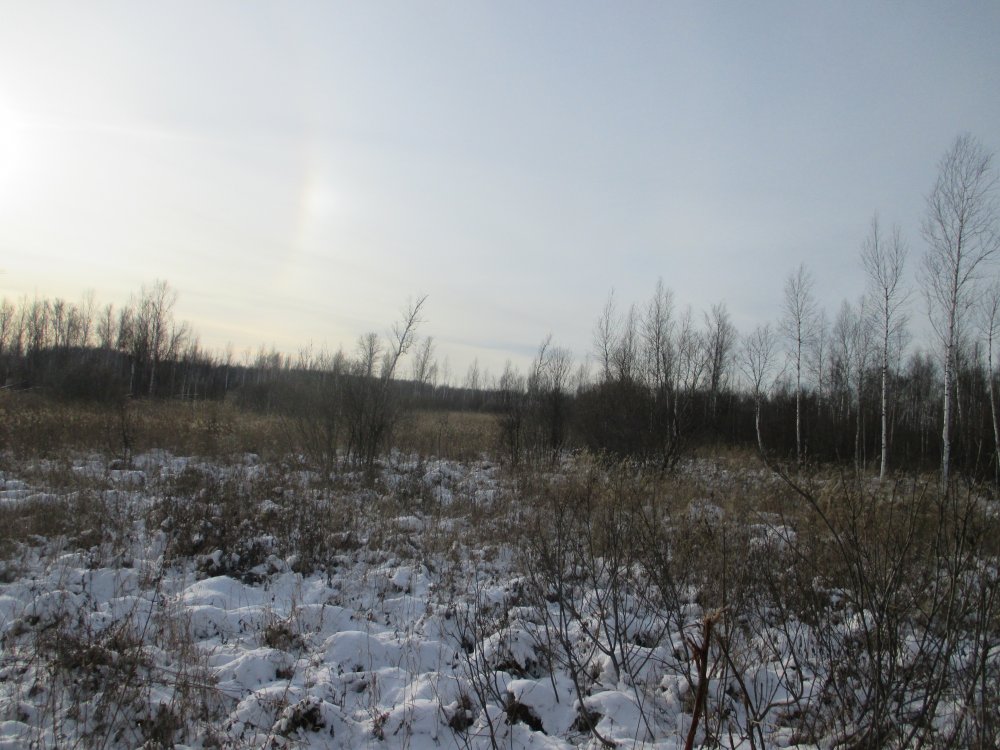 IMG_4577.JPG